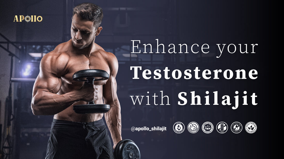 Shilajit in Enhancing Testosterone Levels