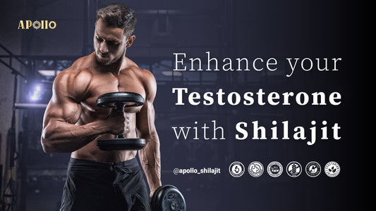 Shilajit in Enhancing Testosterone Levels