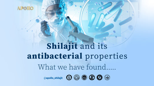 Exploring the Antibacterial Properties of Shilajit