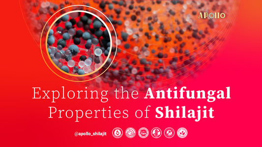 Antifungal Properties of Shilajit