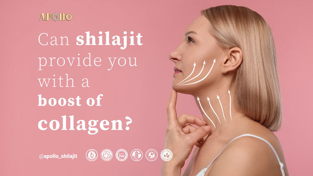 Collagen Synthesis through Shilajit Supplementation