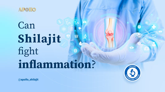 Benefits of Shilajit for Fighting Inflammation