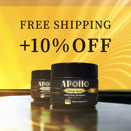 Shilajit Resin 120g (2 x 60g)