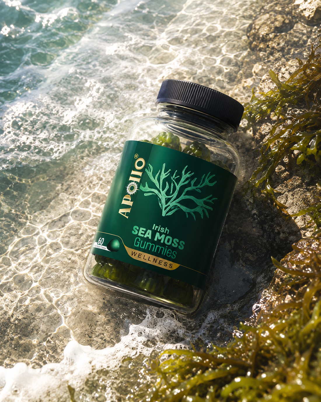 What Are the Benefits of Sea Moss?