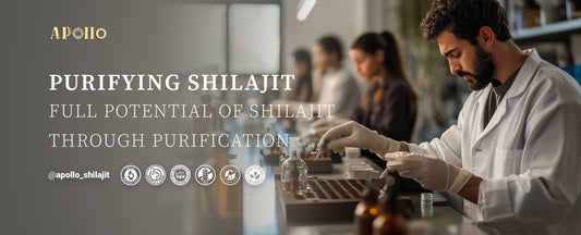 Extraction and Purification of Shilajit