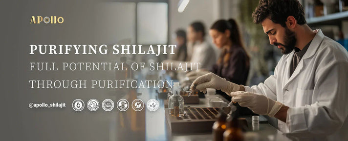 Shilajit’s Benefits for Anxiety Relief