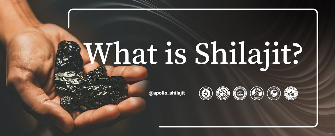 Key Components in Shilajit