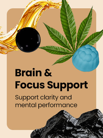 Brain & Focus Support