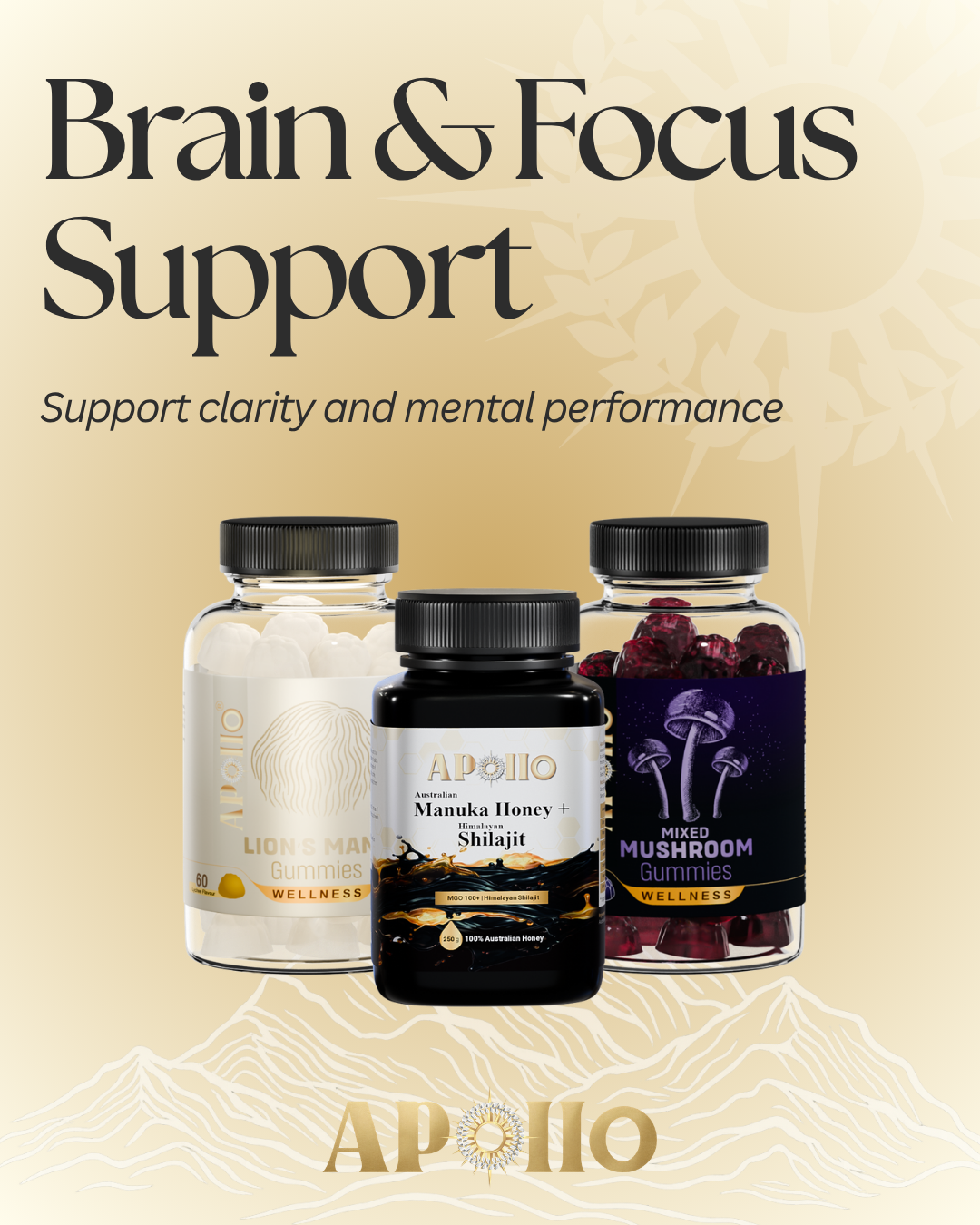Brain & Focus Support