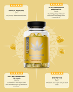 Hemp Seed oil Gummies
