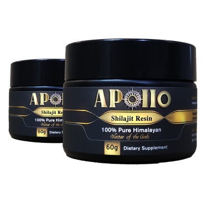 Shilajit Resin 120g (2 x 60g)