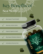 Irish Sea Moss Gummies