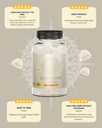Lion's Mane Gummies