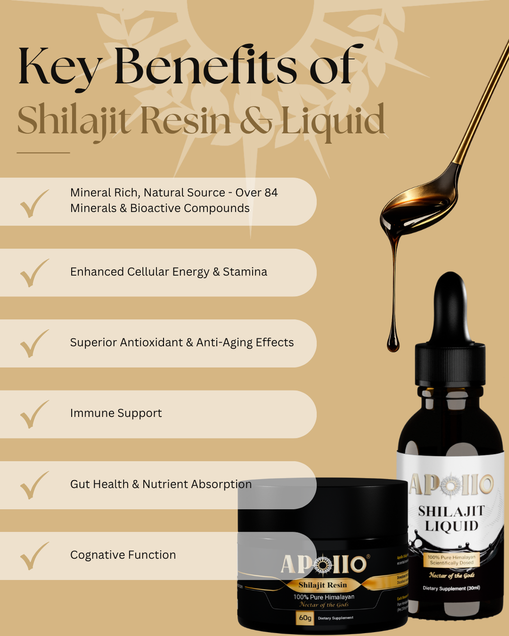 Himalayan Shilajit Resin
