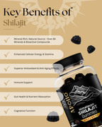 Shilajit Gummies
