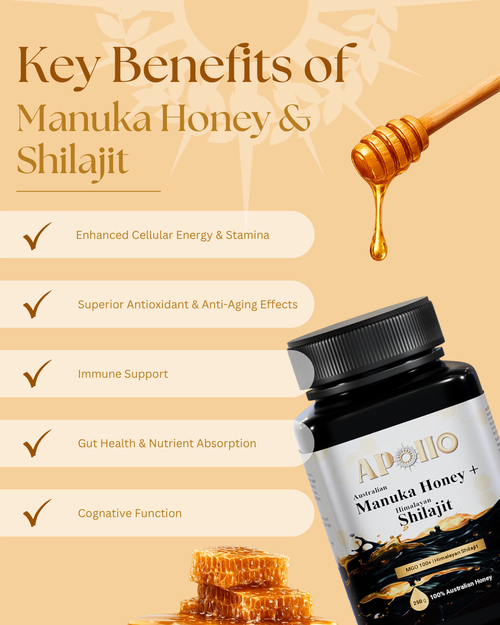 Australian Manuka Honey (MGO 100+) + Himalayan Shilajit 250g