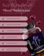 Mixed Mushroom Gummies