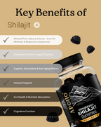 Shilajit Gummies