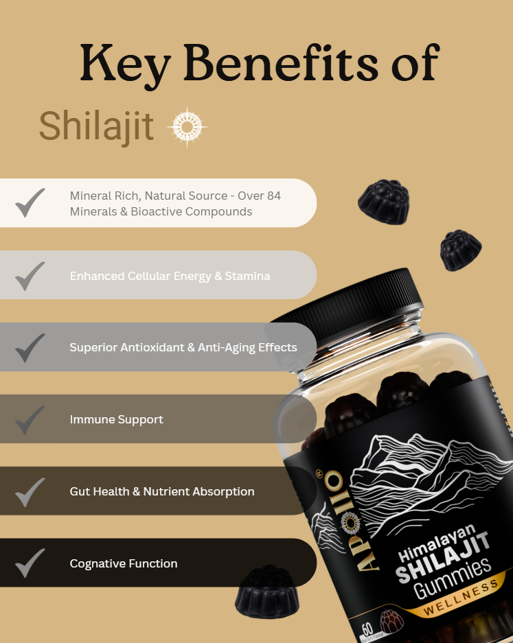 Shilajit Gummies